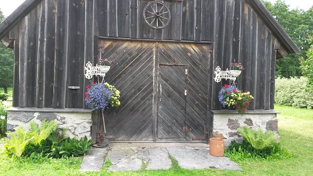   Dendroloogia Seltsi suvep�evad 30.07-01.08.15 Hiiumaal