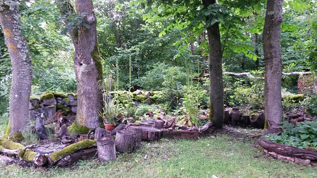   Dendroloogia Seltsi suvep�evad 30.07-01.08.15 Hiiumaal