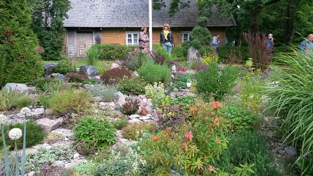   Dendroloogia Seltsi suvep�evad 30.07-01.08.15 Hiiumaal