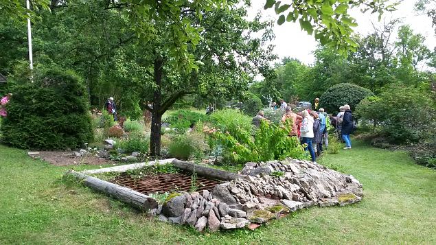   Dendroloogia Seltsi suvep�evad 30.07-01.08.15 Hiiumaal