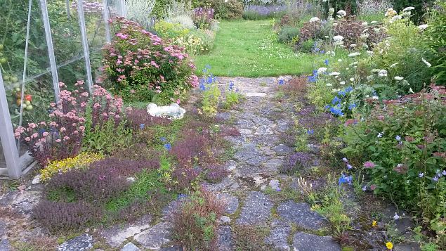   Dendroloogia Seltsi suvep�evad 30.07-01.08.15 Hiiumaal