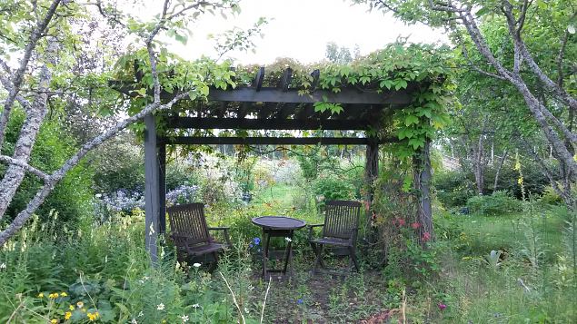   Dendroloogia Seltsi suvep�evad 30.07-01.08.15 Hiiumaal