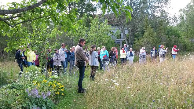   Dendroloogia Seltsi suvep�evad 30.07-01.08.15 Hiiumaal