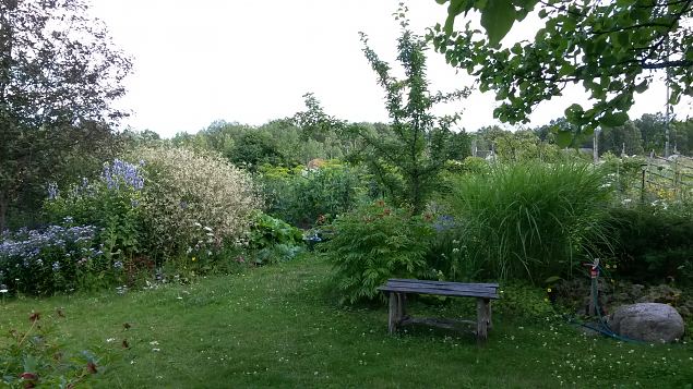   Dendroloogia Seltsi suvep�evad 30.07-01.08.15 Hiiumaal