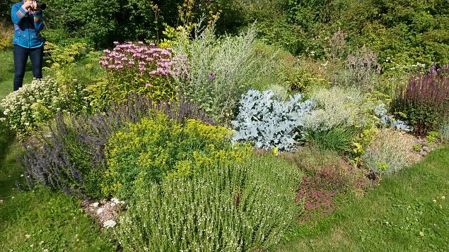   Dendroloogia Seltsi suvep�evad 30.07-01.08.15 Hiiumaal