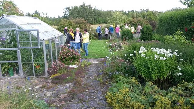   Dendroloogia Seltsi suvep�evad 30.07-01.08.15 Hiiumaal