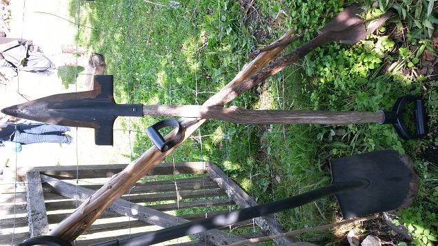   Dendroloogia Seltsi suvep�evad 30.07-01.08.15 Hiiumaal