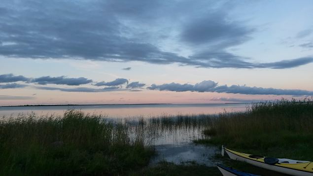   Dendroloogia Seltsi suvep�evad 30.07-01.08.15 Hiiumaal