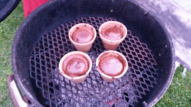   Dendroloogia Seltsi suvep�evad 30.07-01.08.15 Hiiumaal