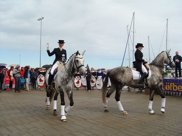   Dendroloogia Seltsi suvep�evad 30.07-01.08.15 Hiiumaal