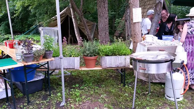   Dendroloogia Seltsi suvep�evad 30.07-01.08.15 Hiiumaal