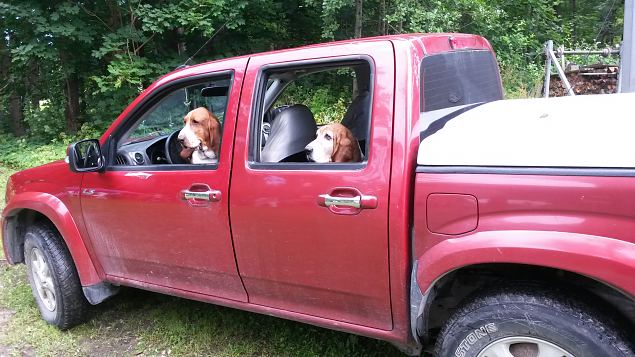   Dendroloogia Seltsi suvep�evad 30.07-01.08.15 Hiiumaal