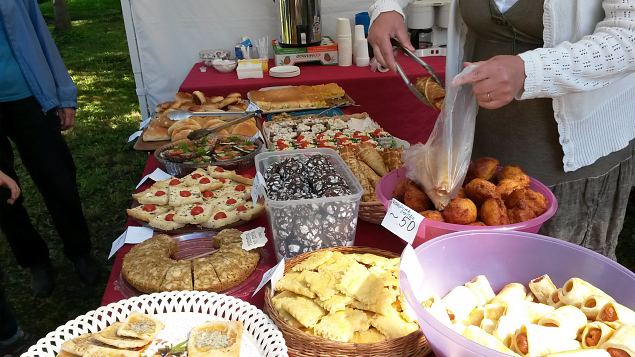   Dendroloogia Seltsi suvep�evad 30.07-01.08.15 Hiiumaal