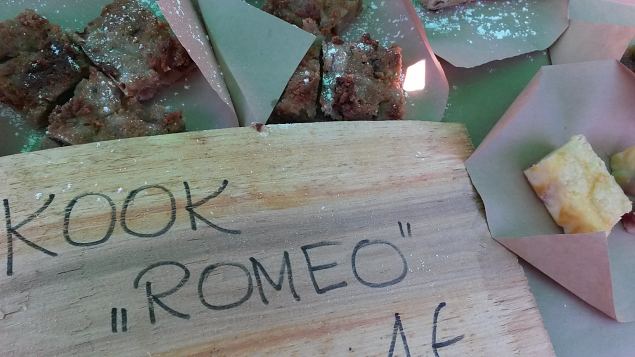   Dendroloogia Seltsi suvep�evad 30.07-01.08.15 Hiiumaal