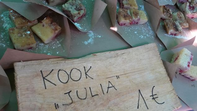   Dendroloogia Seltsi suvep�evad 30.07-01.08.15 Hiiumaal