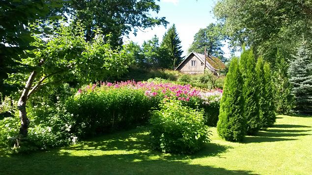   Dendroloogia Seltsi suvep�evad 30.07-01.08.15 Hiiumaal