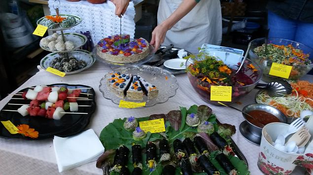   Dendroloogia Seltsi suvep�evad 30.07-01.08.15 Hiiumaal