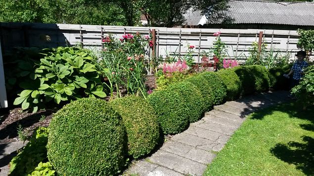   Dendroloogia Seltsi suvep�evad 30.07-01.08.15 Hiiumaal