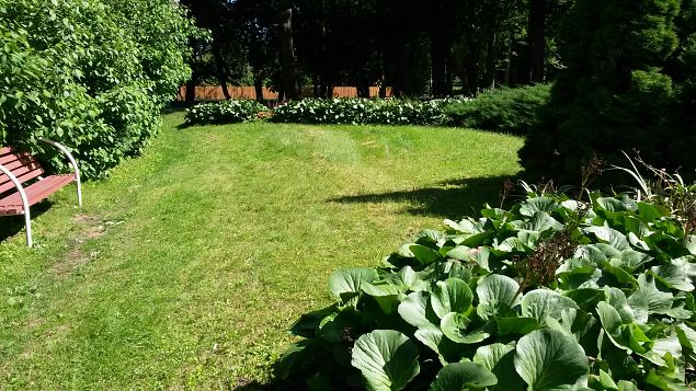   Dendroloogia Seltsi suvep�evad 30.07-01.08.15 Hiiumaal