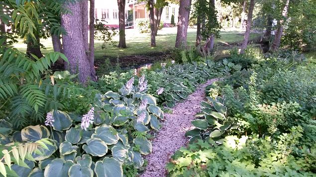   Dendroloogia Seltsi suvep�evad 30.07-01.08.15 Hiiumaal