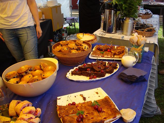   Dendroloogia Seltsi suvep�evad 30.07-01.08.15 Hiiumaal