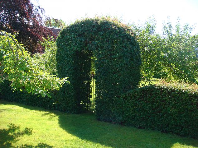   Dendroloogia Seltsi suvep�evad 30.07-01.08.15 Hiiumaal