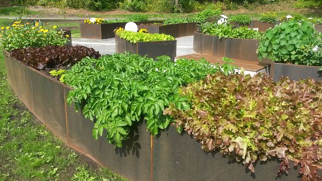   Meelte aia avamine Tallinna Botaanikaaias 12.08.15