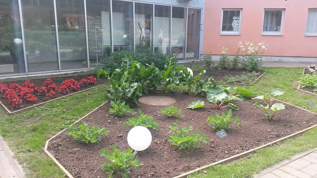   Meelte aia avamine Tallinna Botaanikaaias 12.08.15