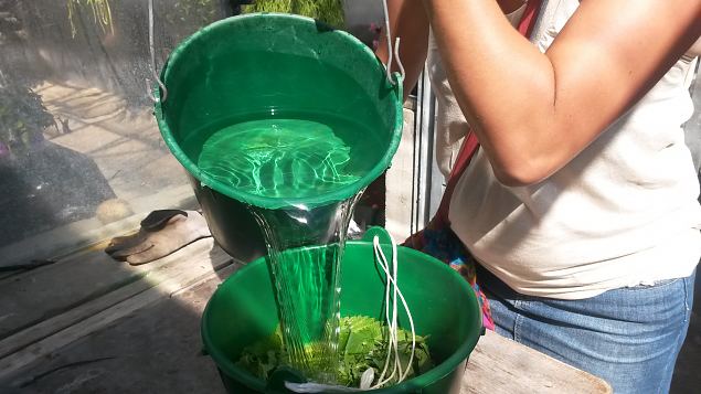   Praktiline �ppep�ev ''Taimekaitse, kahjurite t�rje looduslike vahenditega'' 15.08.15