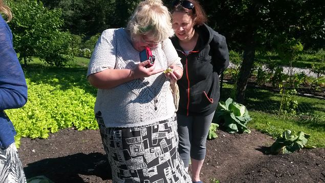   Praktiline �ppep�ev ''Taimekaitse, kahjurite t�rje looduslike vahenditega'' 15.08.15