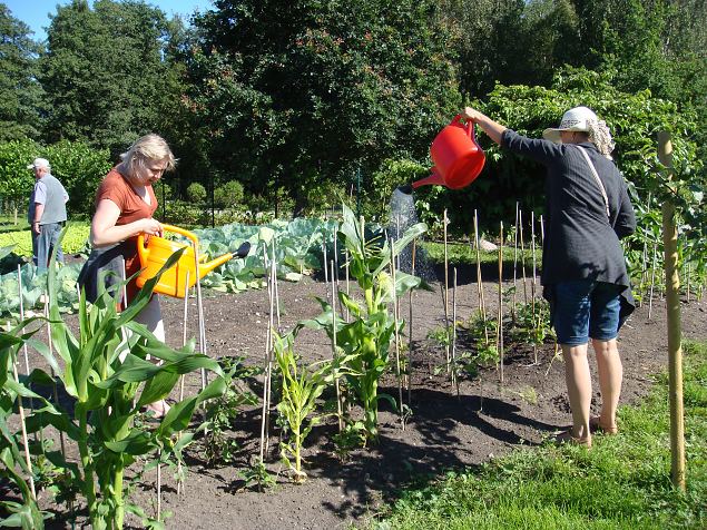   Praktiline �ppep�ev ''Taimekaitse, kahjurite t�rje looduslike vahenditega'' 15.08.15