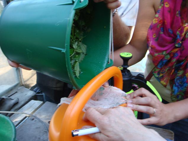   Praktiline �ppep�ev ''Taimekaitse, kahjurite t�rje looduslike vahenditega'' 15.08.15