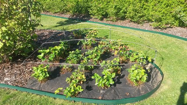   Aiakujunduse koolitus Kakum�el 12.09.15