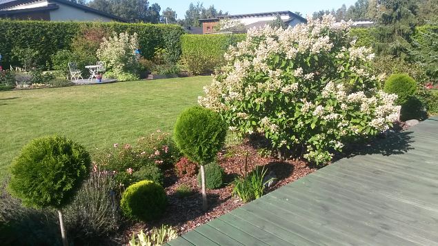   Aiakujunduse koolitus Kakum�el 12.09.15