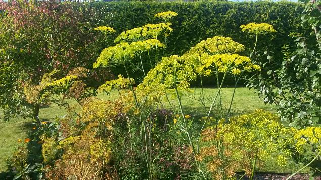   Aiakujunduse koolitus Kakum�el 12.09.15